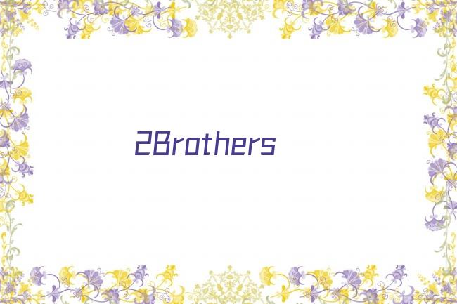 2Brothers剧照