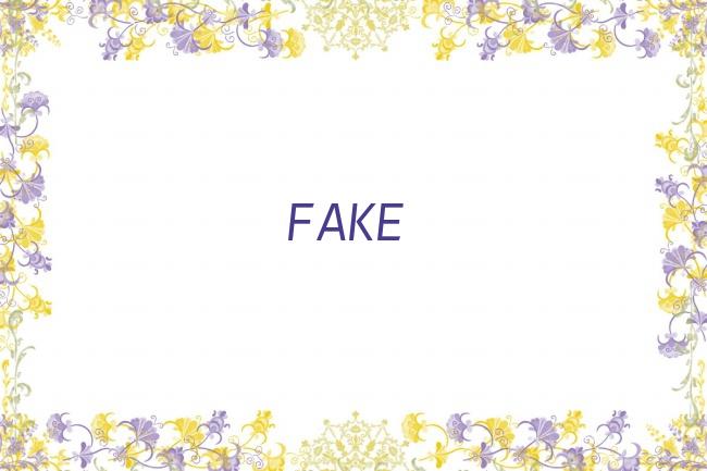 FAKE剧照