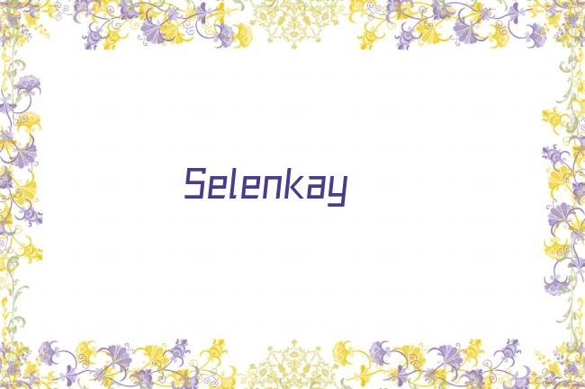 Selenkay剧照