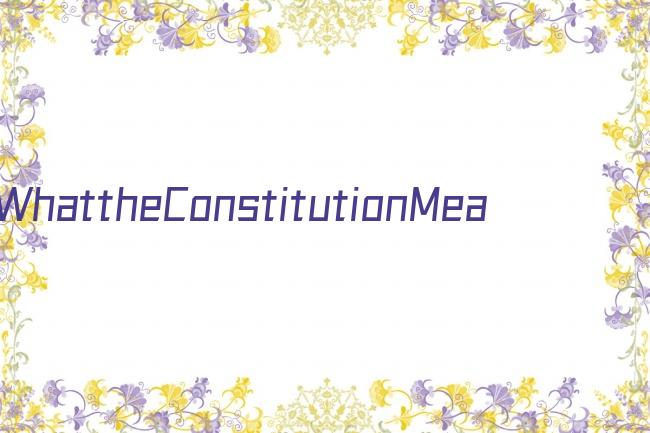 WhattheConstitutionMeanstoMe剧照