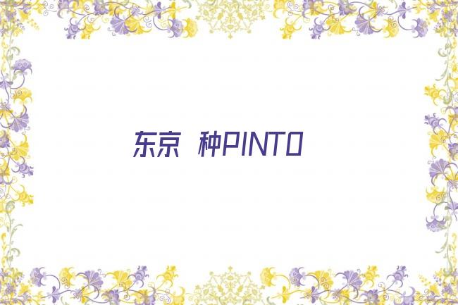 东京喰种PINTO剧照