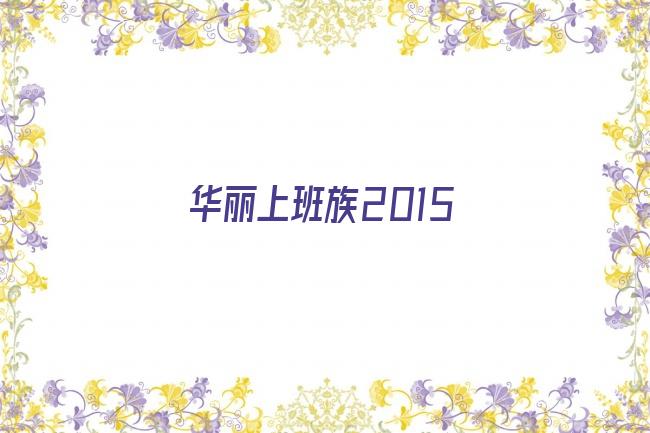 华丽上班族2015剧照