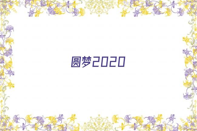 圆梦2020剧照