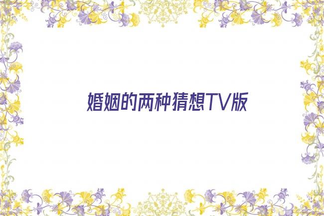 婚姻的两种猜想TV版剧照