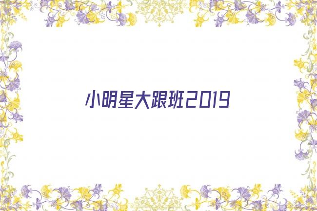 小明星大跟班2019剧照