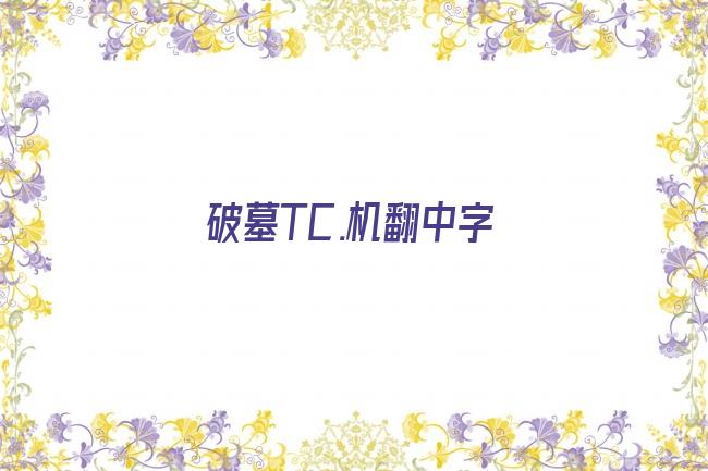 破墓TC.机翻中字剧照